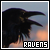 Ravens ♥