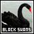 Black Swans