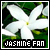 I love jasmine!