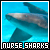 Nurse sharks ♥