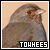 Towhees ♥