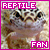 Reptiles are awesome