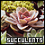 succulents