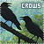 Crows ♥