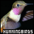 I love hummingbirds!